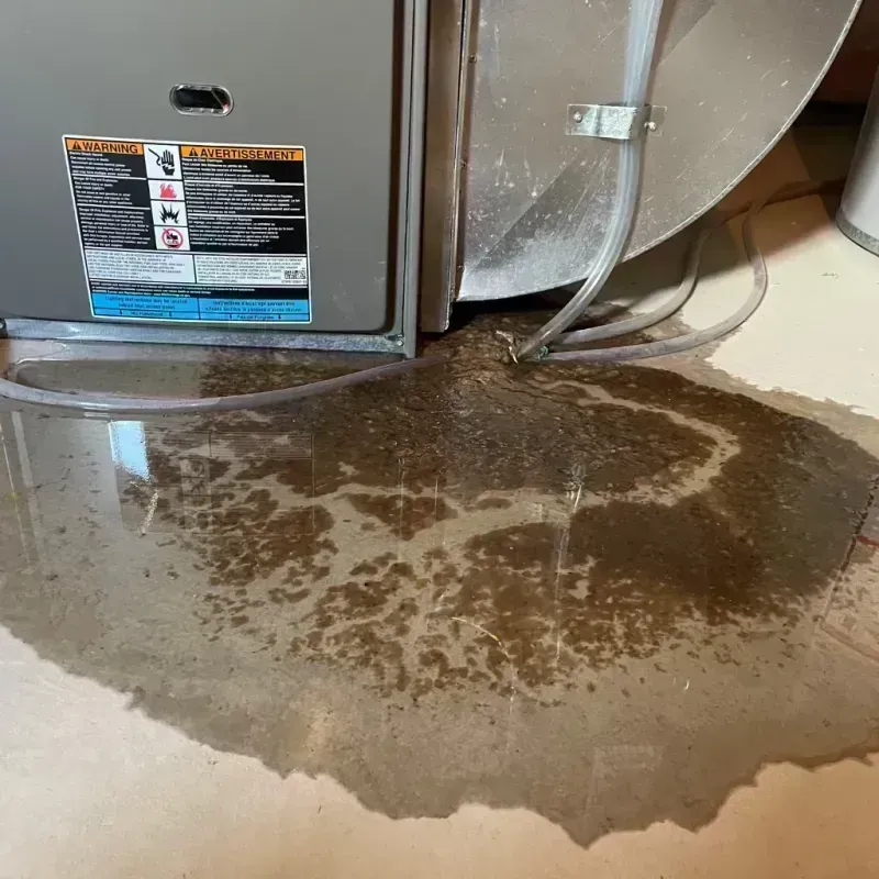 Appliance Leak Cleanup in Hawkinsville, GA